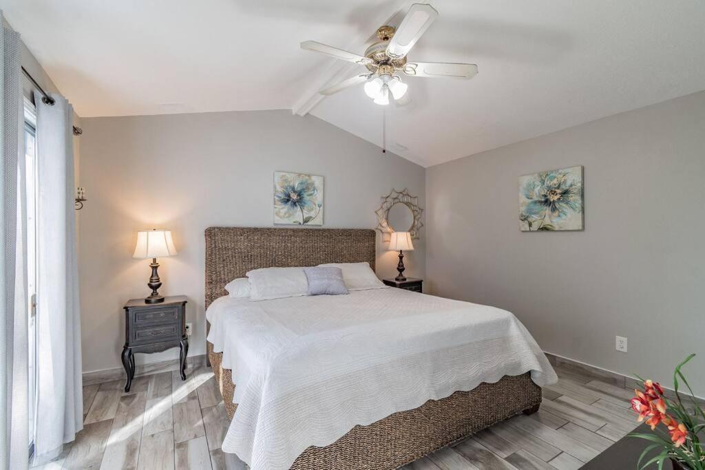 Town 'N' Country Cozy Corner, Your Florida Fun Hub Villa Tampa Dış mekan fotoğraf