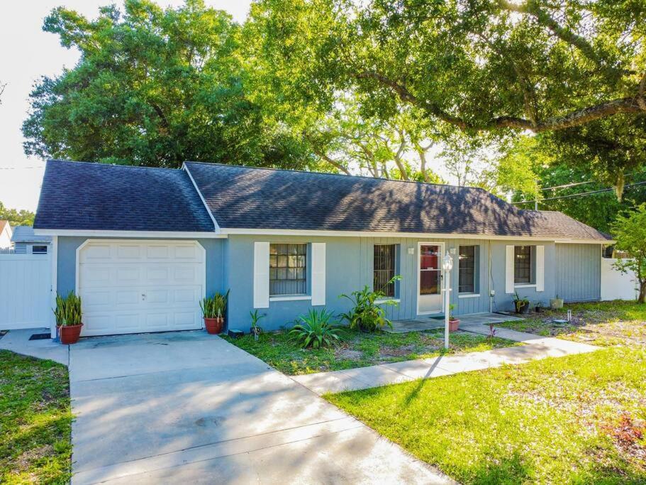Town 'N' Country Cozy Corner, Your Florida Fun Hub Villa Tampa Dış mekan fotoğraf