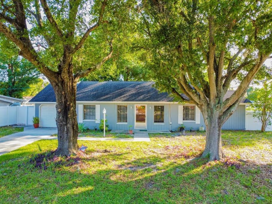 Town 'N' Country Cozy Corner, Your Florida Fun Hub Villa Tampa Dış mekan fotoğraf